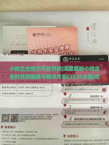 小微企业拖欠平台贷款