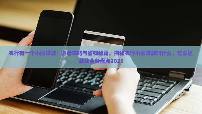 农行有一个小额贷款