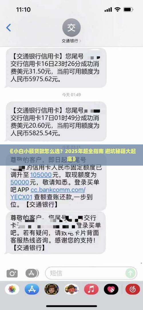 小白小额贷款怎么办