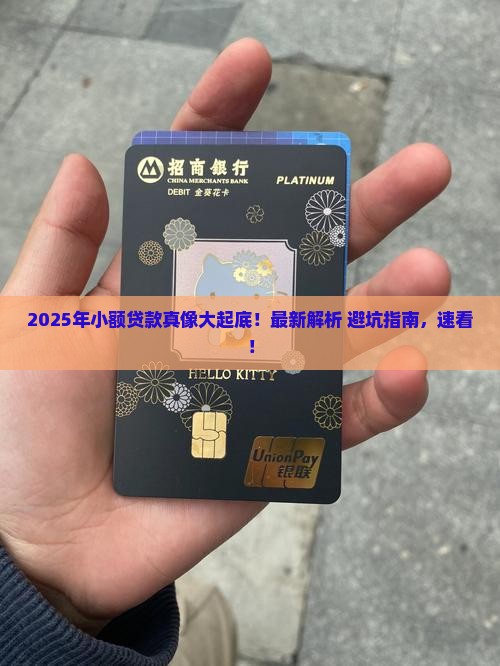 小额贷款好做吗今年