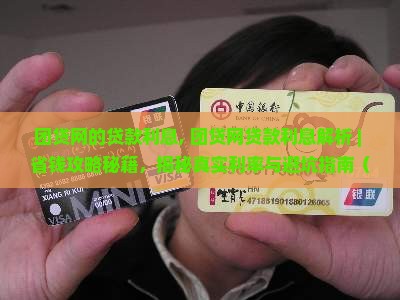团贷网的贷款利息
