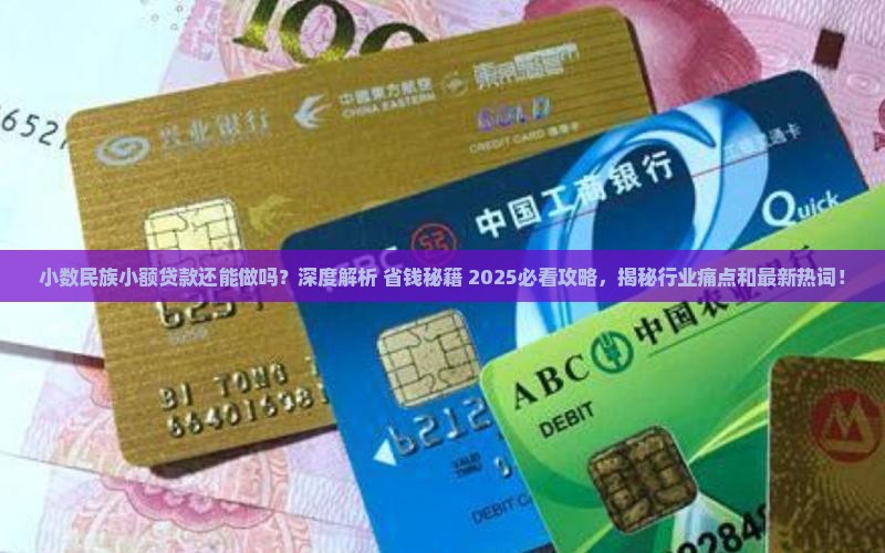 小数民族小额贷款