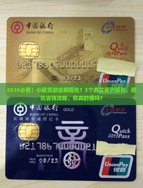 小额贷款逾期阳光