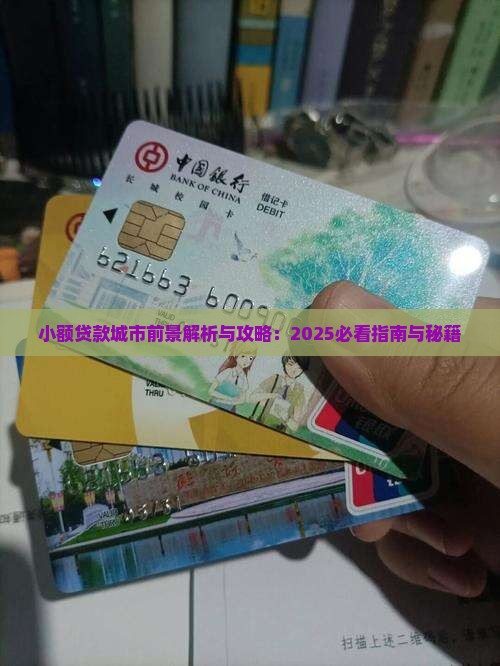 小额贷款哪些城市前景好