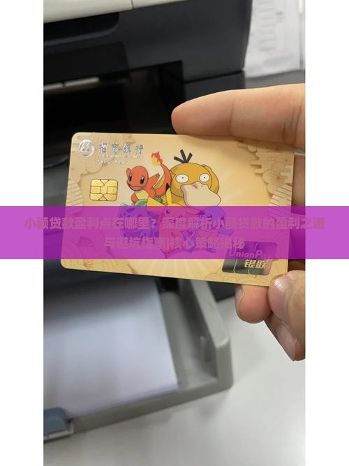 小额贷款盈利点在哪里