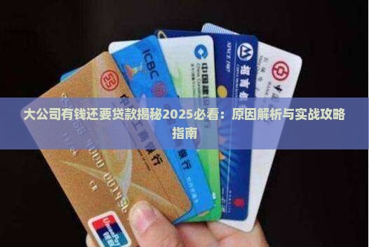 大公司有钱还要贷款
