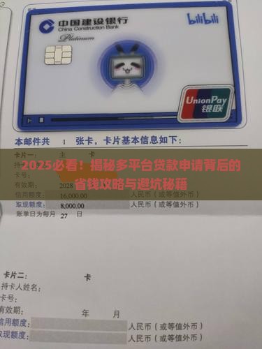 在很多个平台申请过贷款