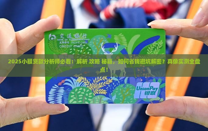 小额贷款分析师