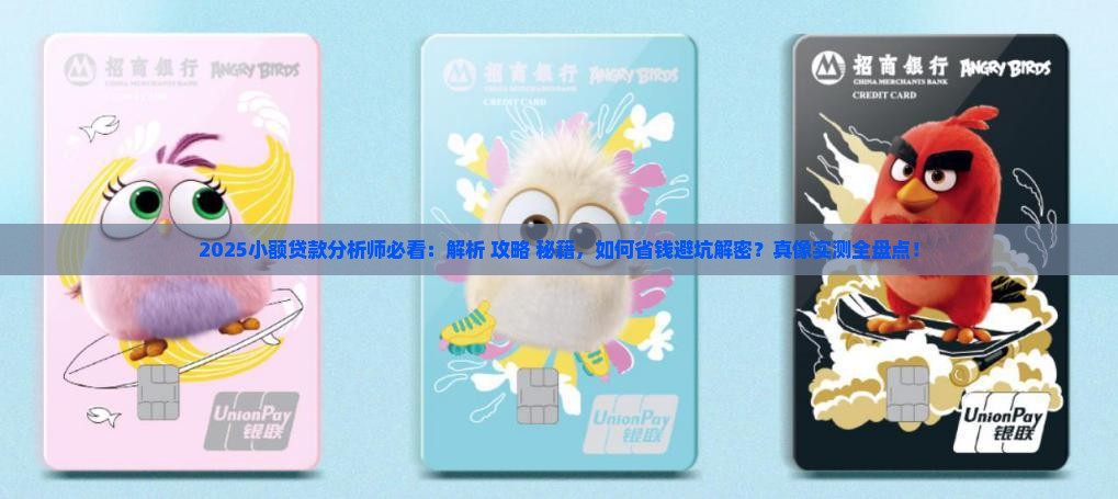 小额贷款分析师