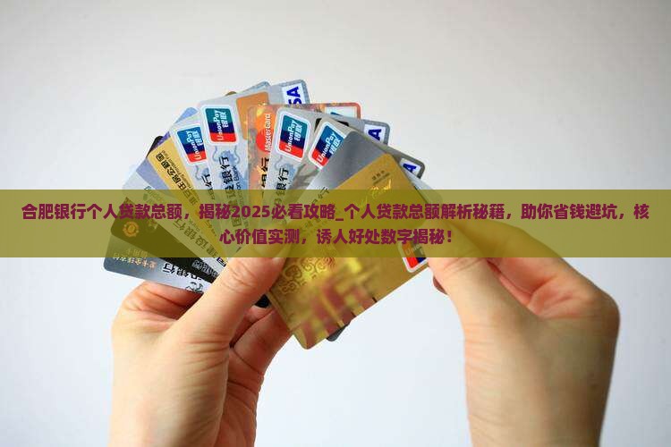 合肥银行个人贷款总额