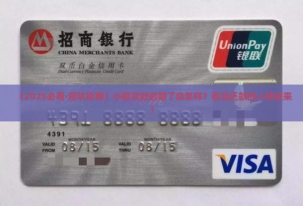 小额贷款逾期了会怎么样