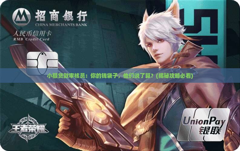 小额贷款审核员责任