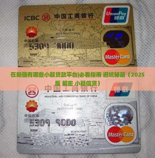 在新疆有哪些小额贷款