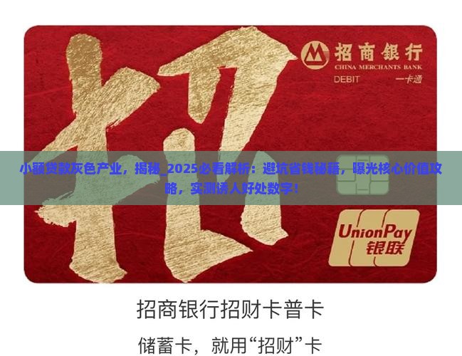 小额贷款灰色产业