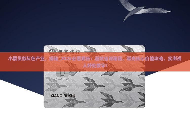 小额贷款灰色产业