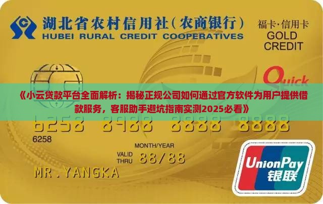 小云贷款是啥公司的软件