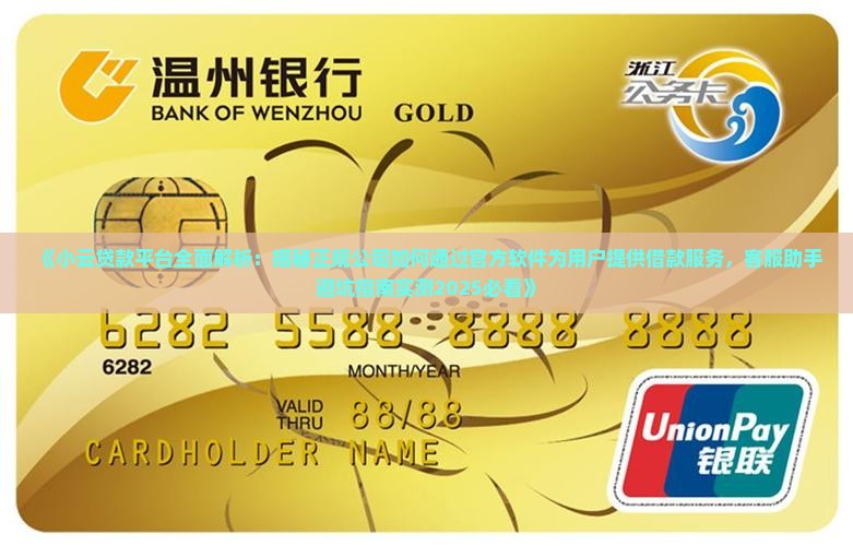 小云贷款是啥公司的软件