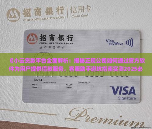 小云贷款是啥公司的软件