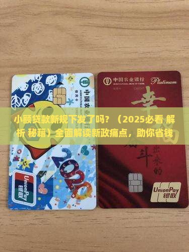 小额贷款新规下发了吗