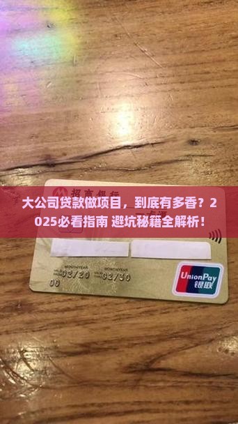 大公司贷款做项目好做吗