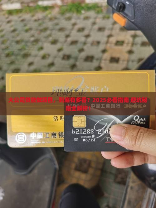 大公司贷款做项目好做吗