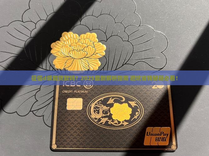 征信d级可以贷款吗