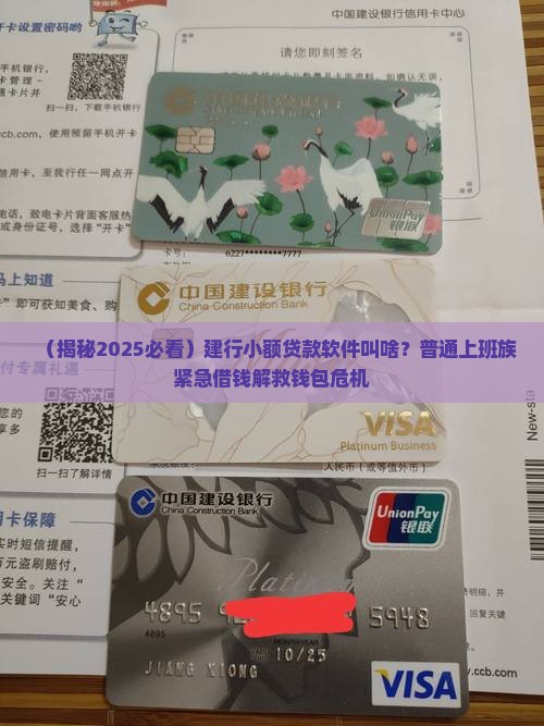 建行小额贷款软件叫什么 建行小额贷款软件叫什么