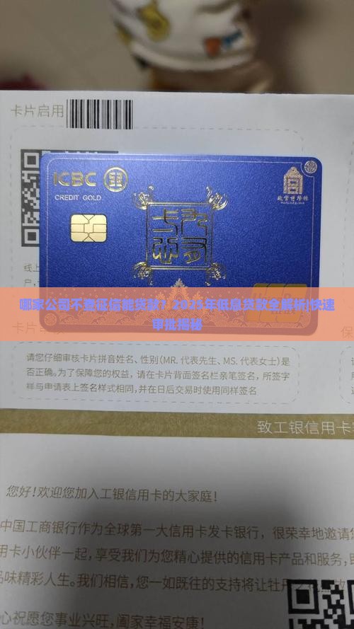 哪家公司不查征信能贷款