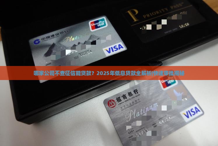 哪家公司不查征信能贷款