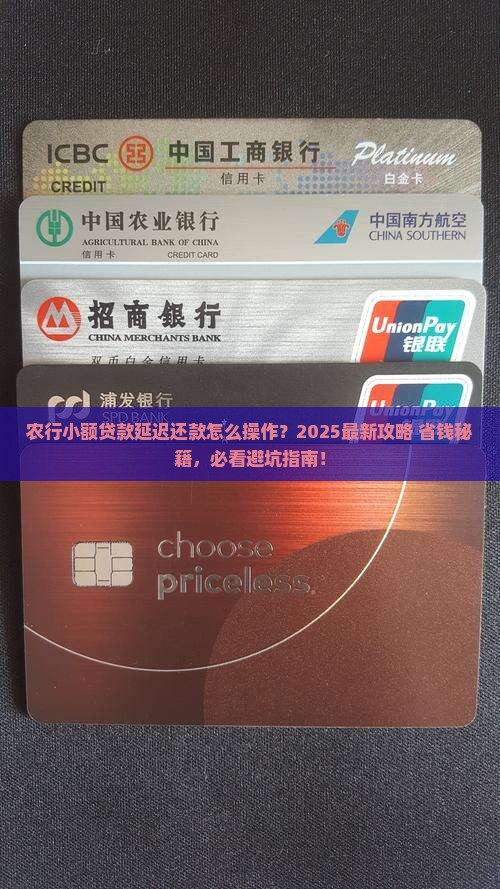 农行小额贷款可延迟吗