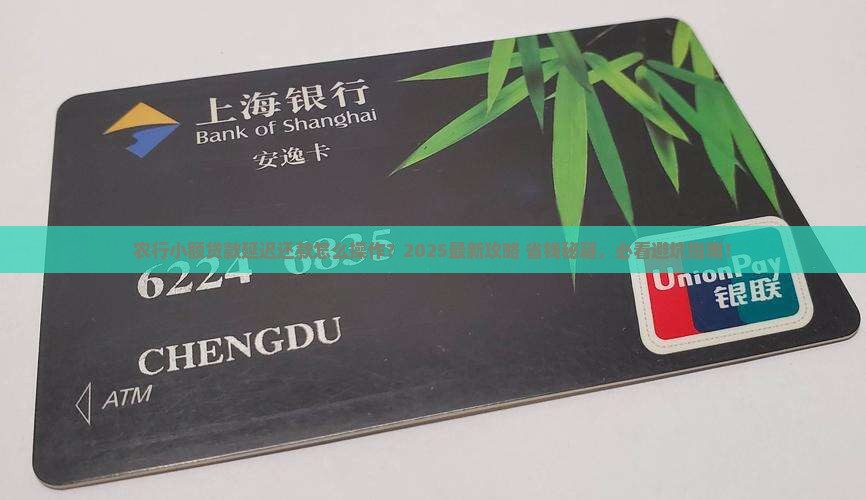 农行小额贷款可延迟吗