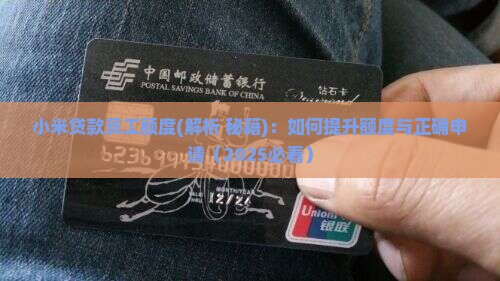 小米贷款员工额度