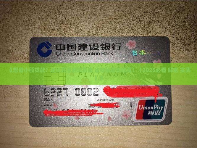 如何小额贷款网站