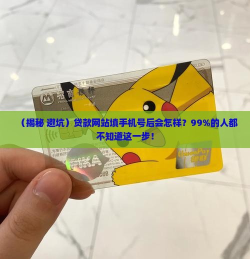 在贷款网站添了手机号