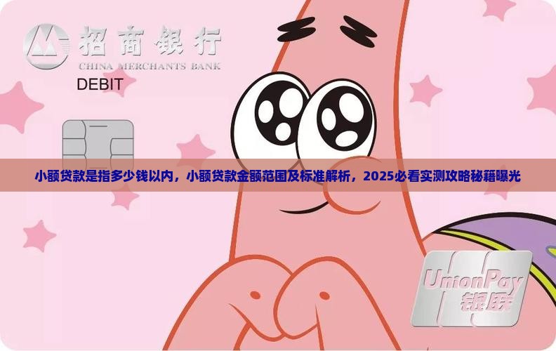 小额贷款是指多少钱以内