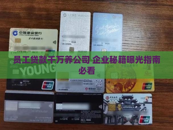 员工千万贷款养公司