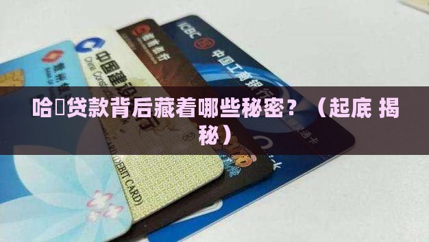 哈啰贷款是哪里的平台公司