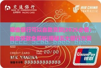 哪些银行可以自助贷款
