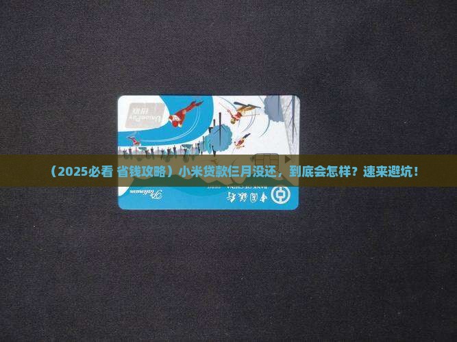 小米贷款仨月没还