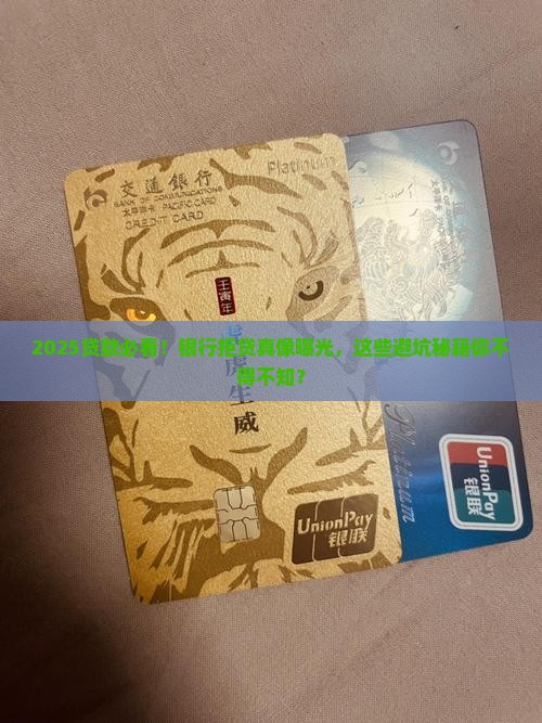 向银行贷款失败案例