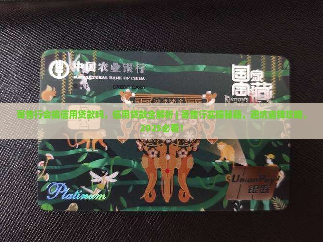 寄售行会搞信用贷款吗
