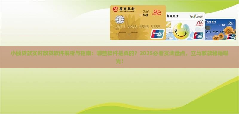 小额贷款实时放贷软件