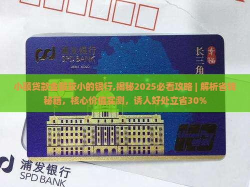 小额贷款金额较小的银行