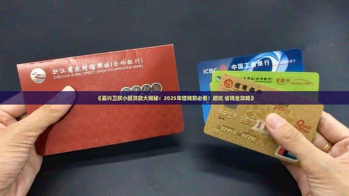 嘉兴卫欣小额贷款