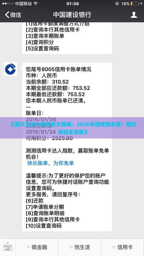嘉兴卫欣小额贷款