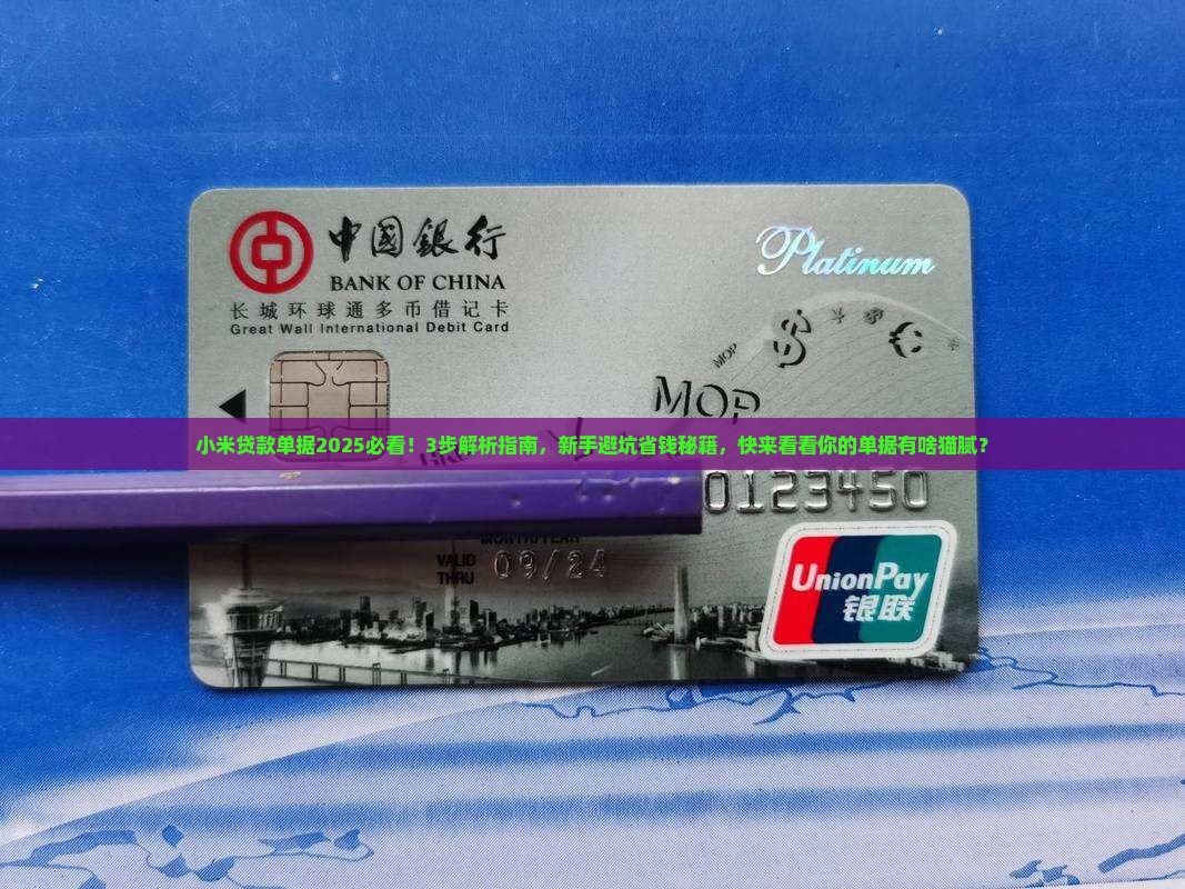 小米贷款单据