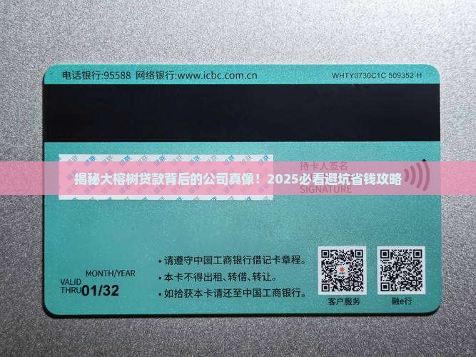 大榕树贷款属于哪个公司