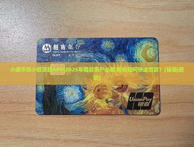 小通币咚小额贷款APP