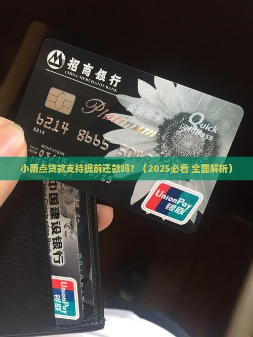 小雨点贷款能提前还款吗