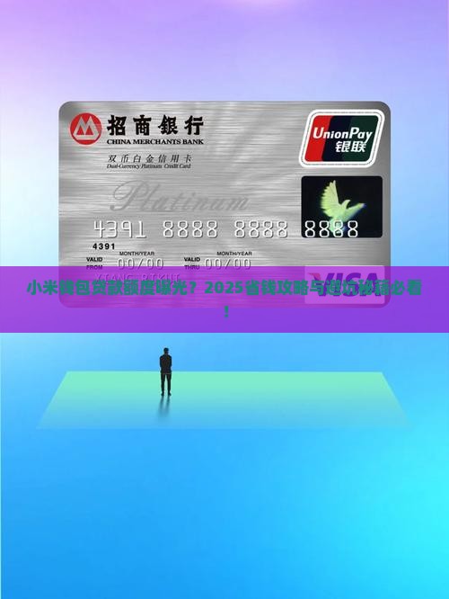 小米钱包贷款有额度